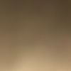 savvychic29